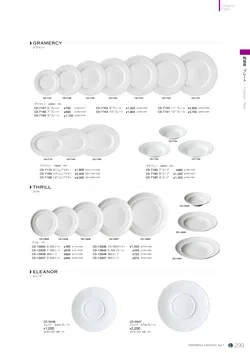 CAtalog page NinomiyaCrystal_Vol7＋-300