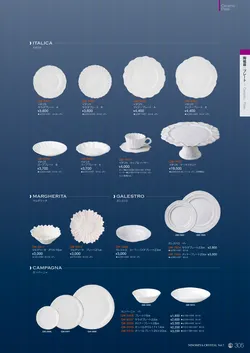 CAtalog page NinomiyaCrystal_Vol7＋-306