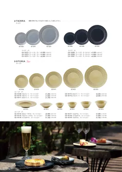 CAtalog page NinomiyaCrystal_Vol7＋-313