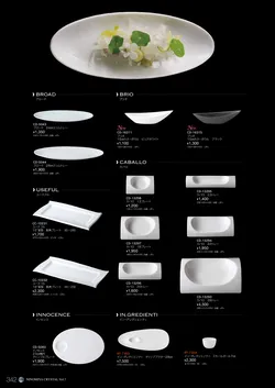 CAtalog page NinomiyaCrystal_Vol7＋-343