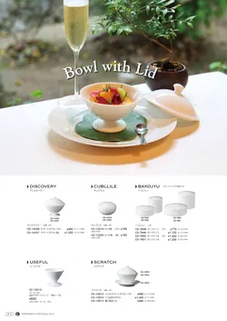 CAtalog page NinomiyaCrystal_Vol7＋-361