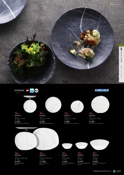 CAtalog page NinomiyaCrystal_Vol7＋-384