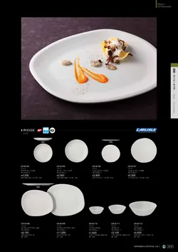 CAtalog page NinomiyaCrystal_Vol7＋-386