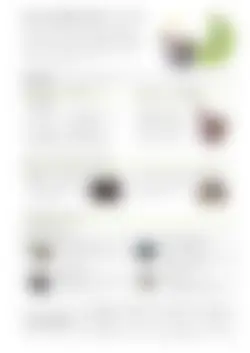 カタログページ SAJI Tea Pot 2023-03