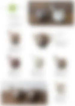 カタログページ SAJI Tea Pot 2023-09