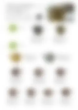 カタログページ SAJI Tea Pot 2023-13