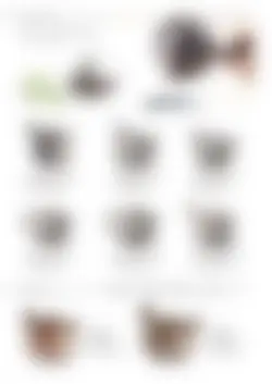 カタログページ SAJI Tea Pot 2023-16