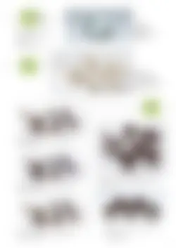 カタログページ SAJI Tea Pot 2023-23