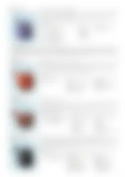 カタログページ SAJI Tea Pot 2023-25