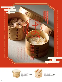 カタログページ YOUBI21-172